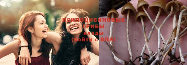 mdpv Алексеевка